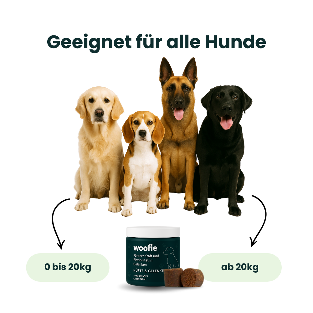 Hüfte & Gelenke